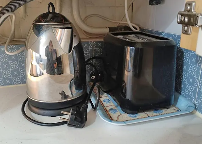 Chez Celeste, Luchon Centre, T2 Bis, 4 Personnes アパート *